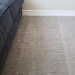 Upholstery Cleaning