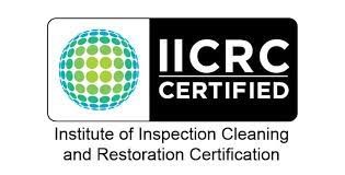 IICRC Las Vegas Carpet Cleaning Professionals