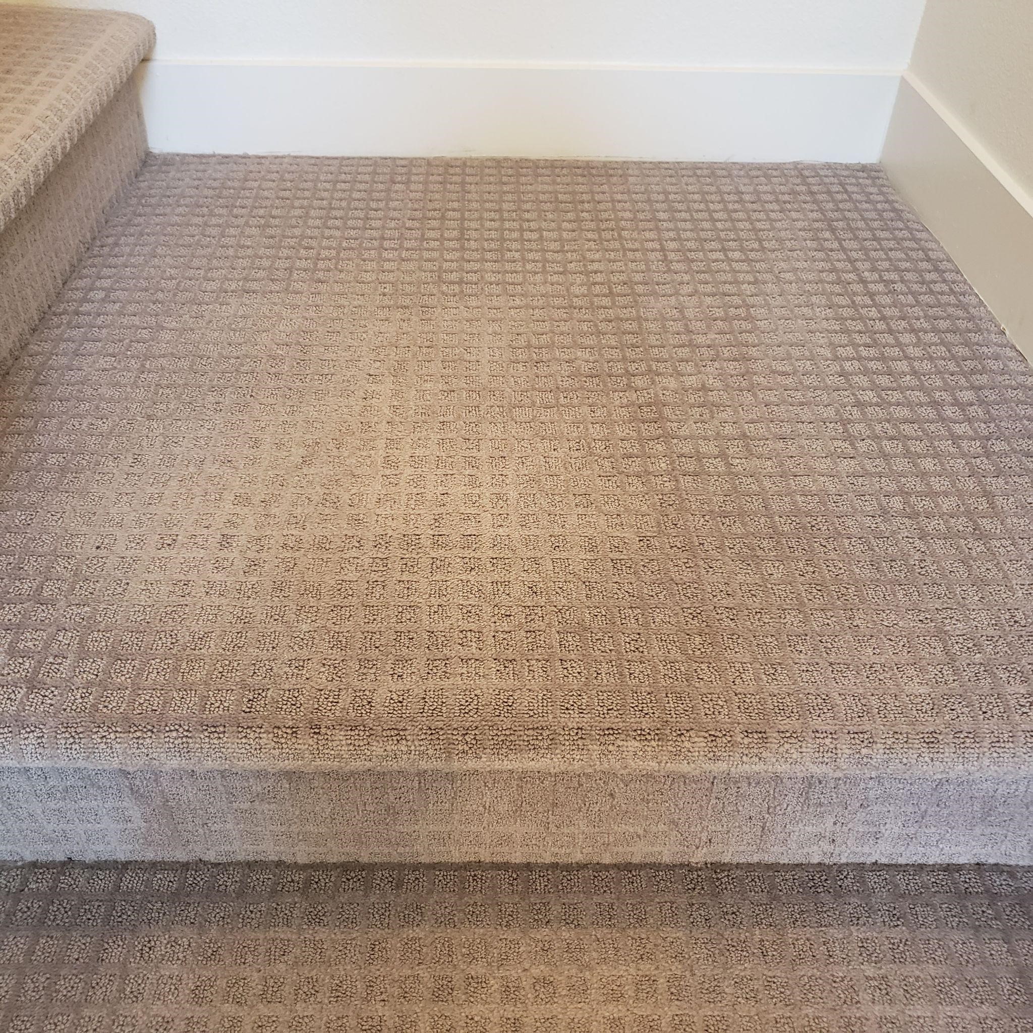 carpet cleaning before and after photos