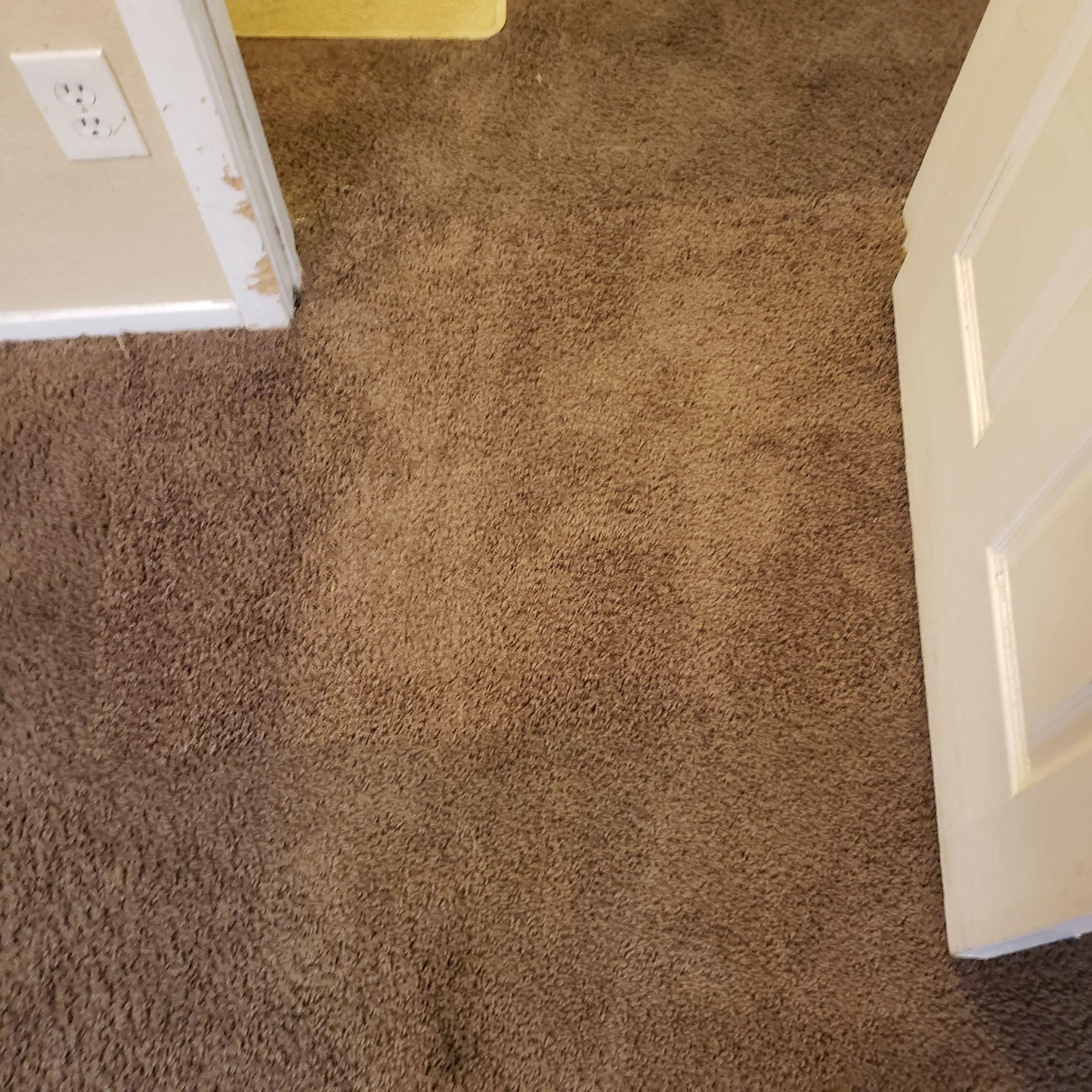 carpet repair before and after photos