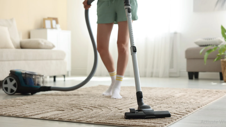 Rug Steam Cleaners