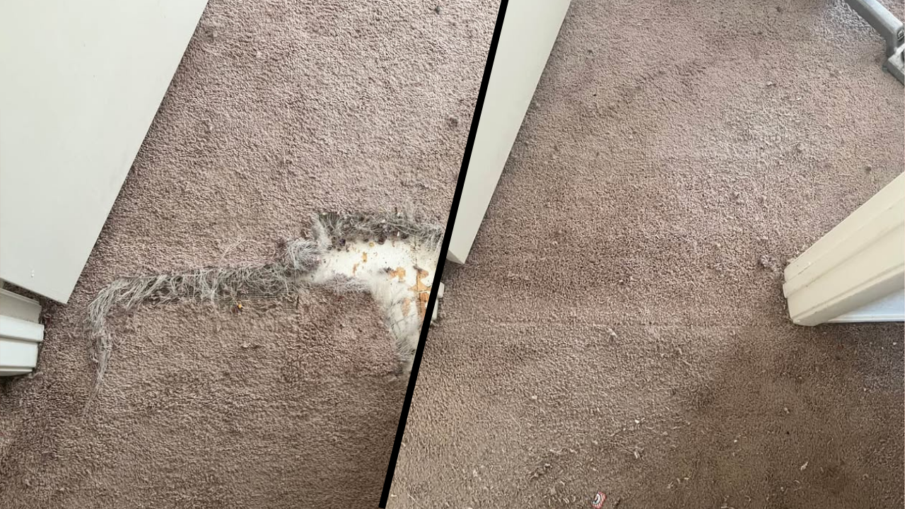 Carpet Repair Entryway